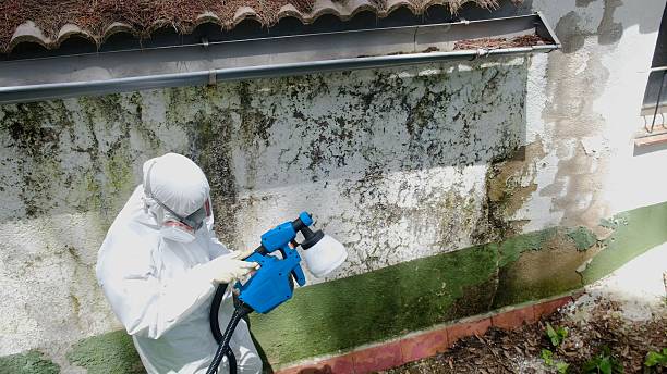 Top rated local Attic Mold Remediation specialists in Coatesville, PA